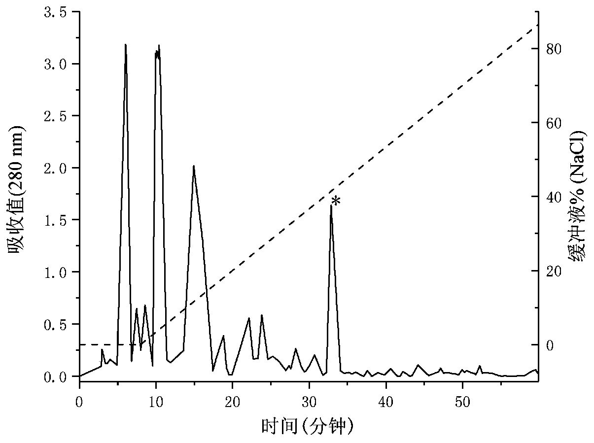 Vespa magnifica peptide WVD-I, and preparation method and applications thereof