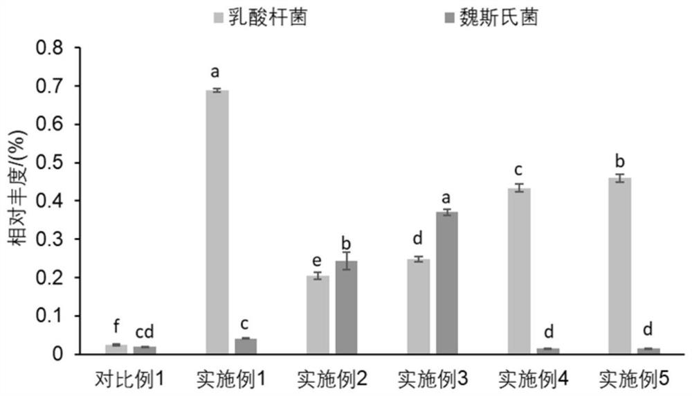 Preparation method of fermented fruits and vegetables containing prebiotics