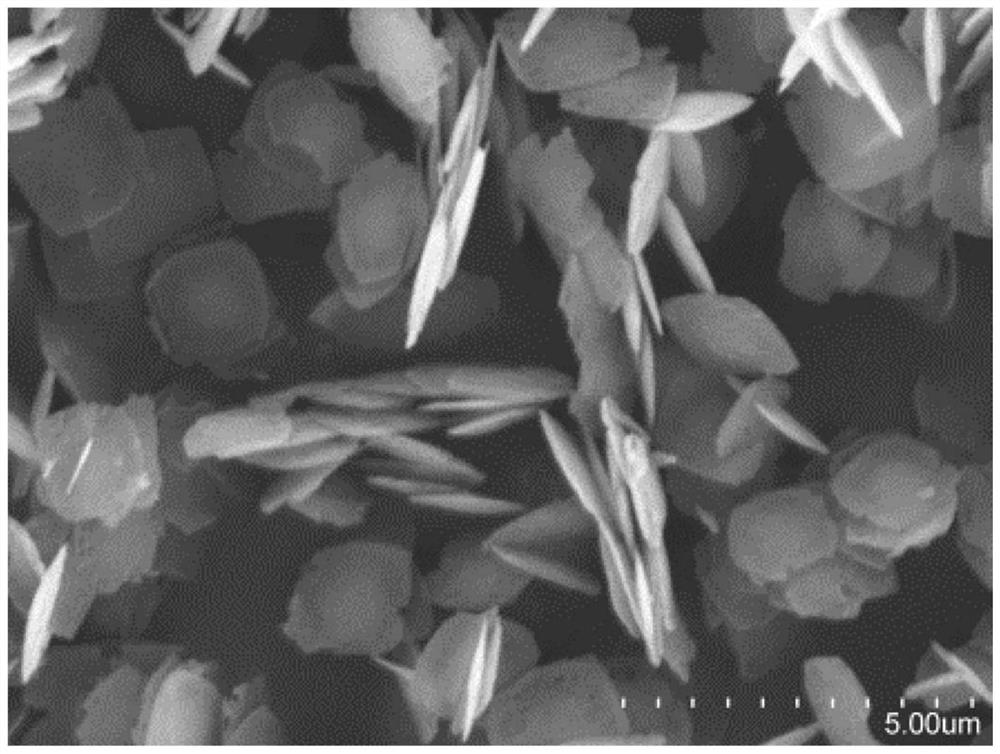 Cu2O-TiO2 composite photocatalyst as well as preparation method and application thereof