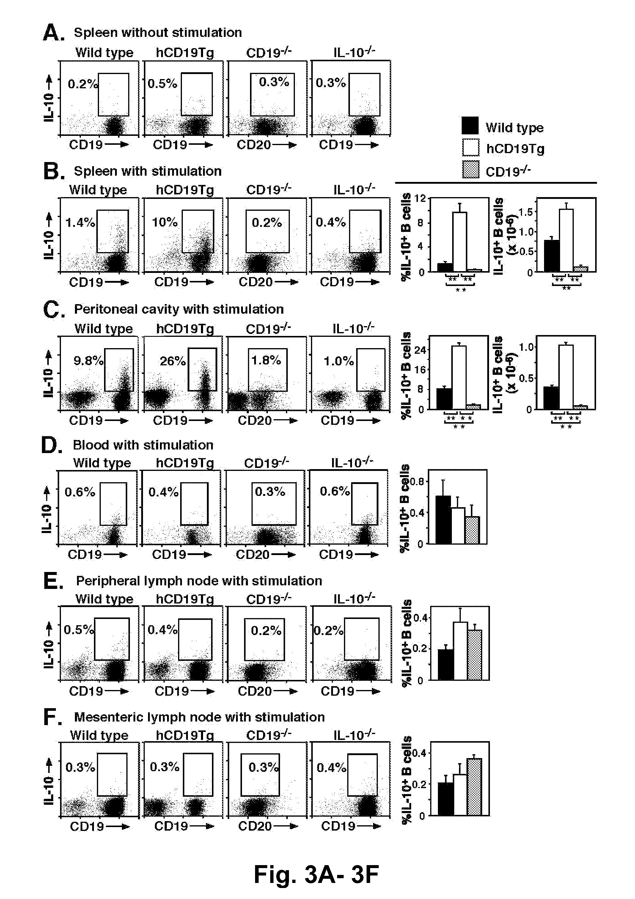 Regulatory b cells and their uses