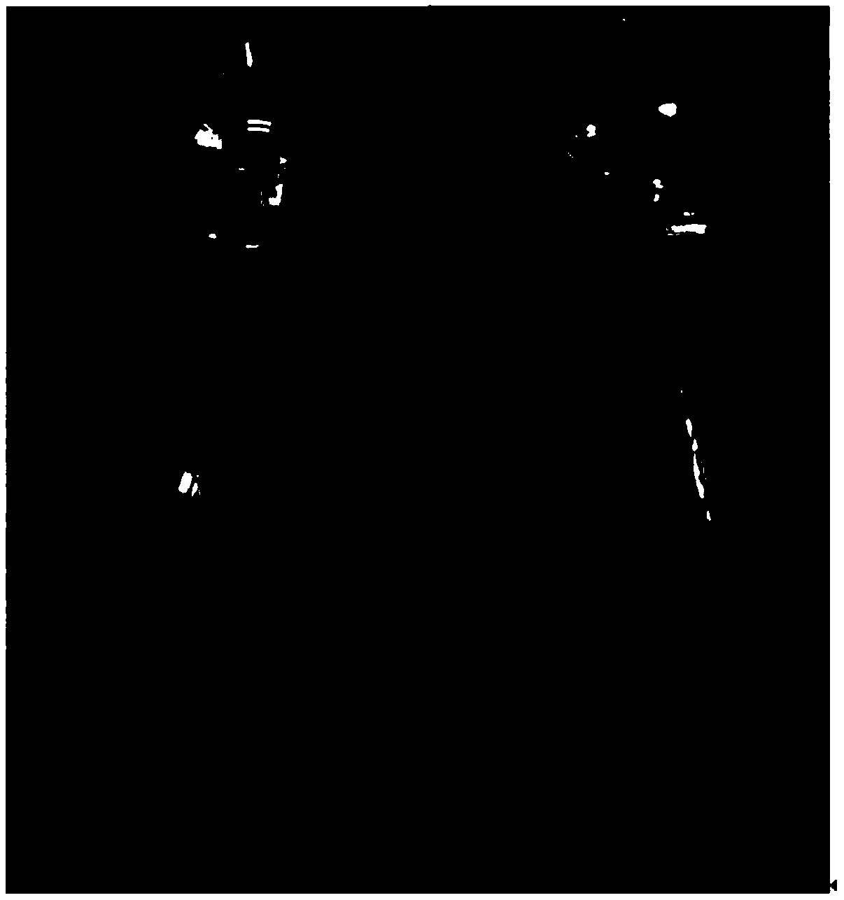 Microbial agent containing bacillus bataviensis HJ-1 and application of microbial agent