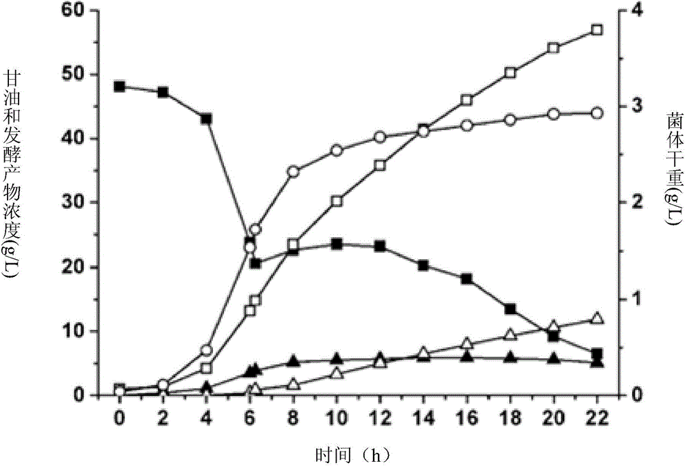 Clostridium butyricum and application thereof