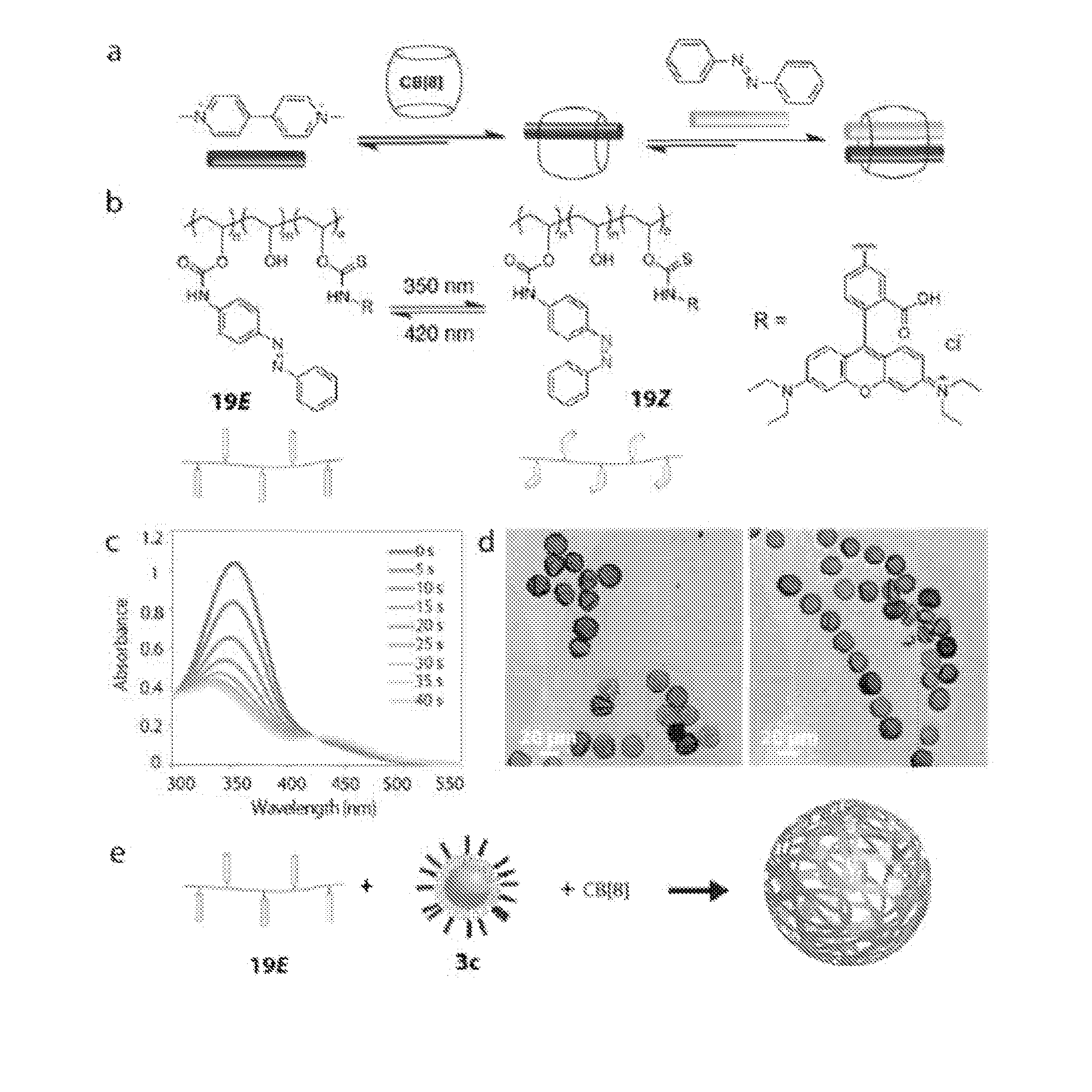 Nested supramolecular capsules