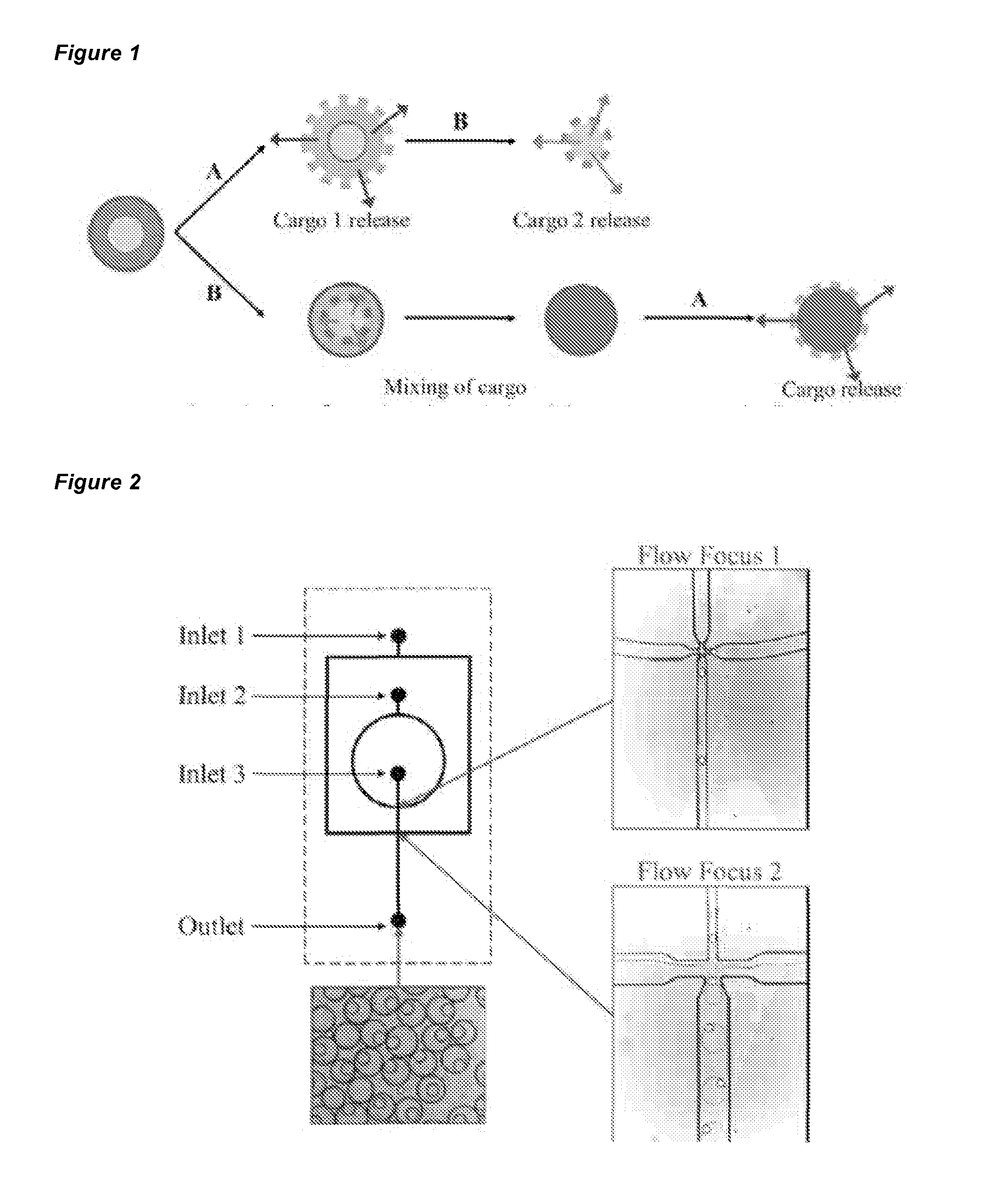 Nested supramolecular capsules