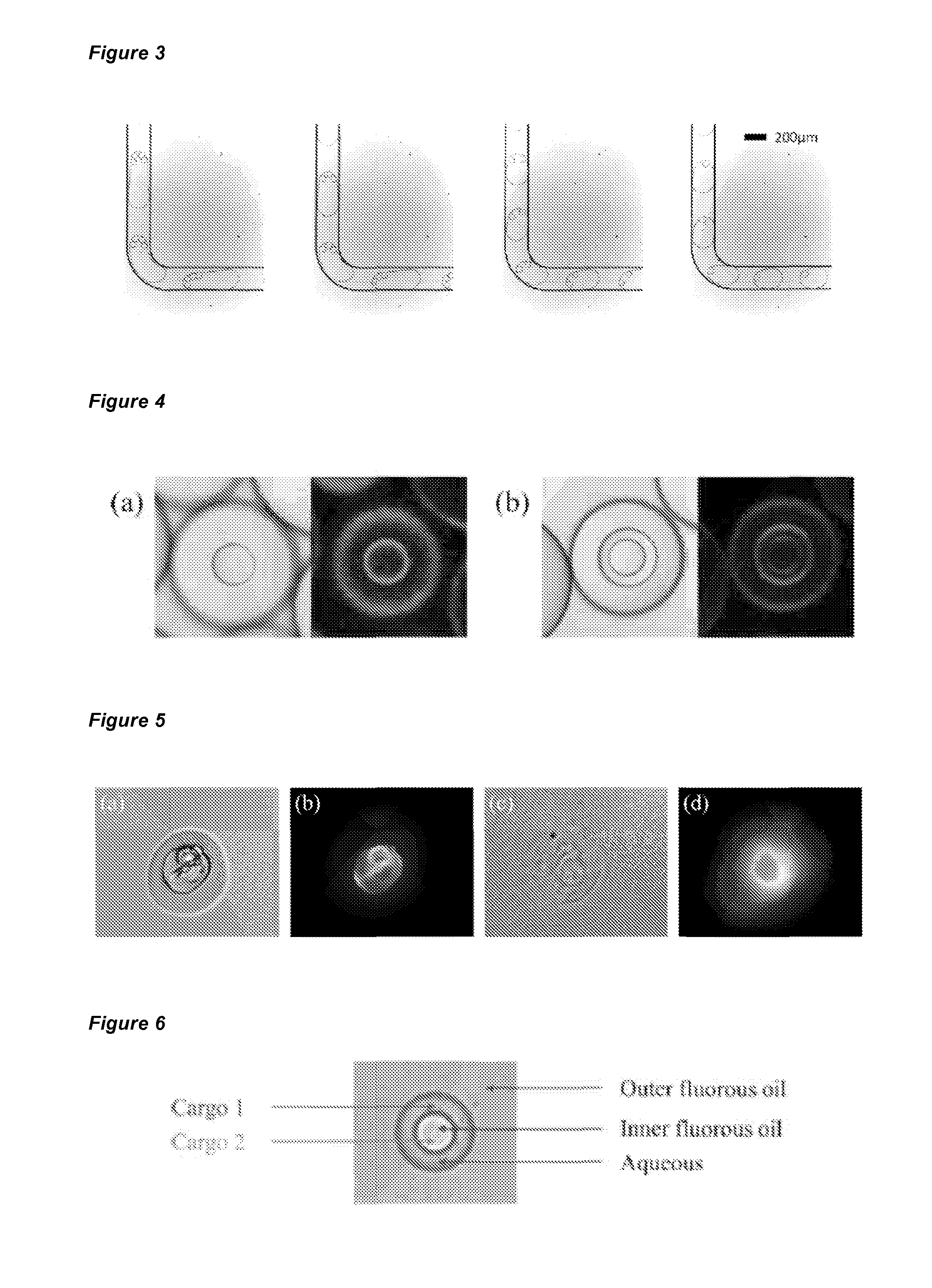 Nested supramolecular capsules