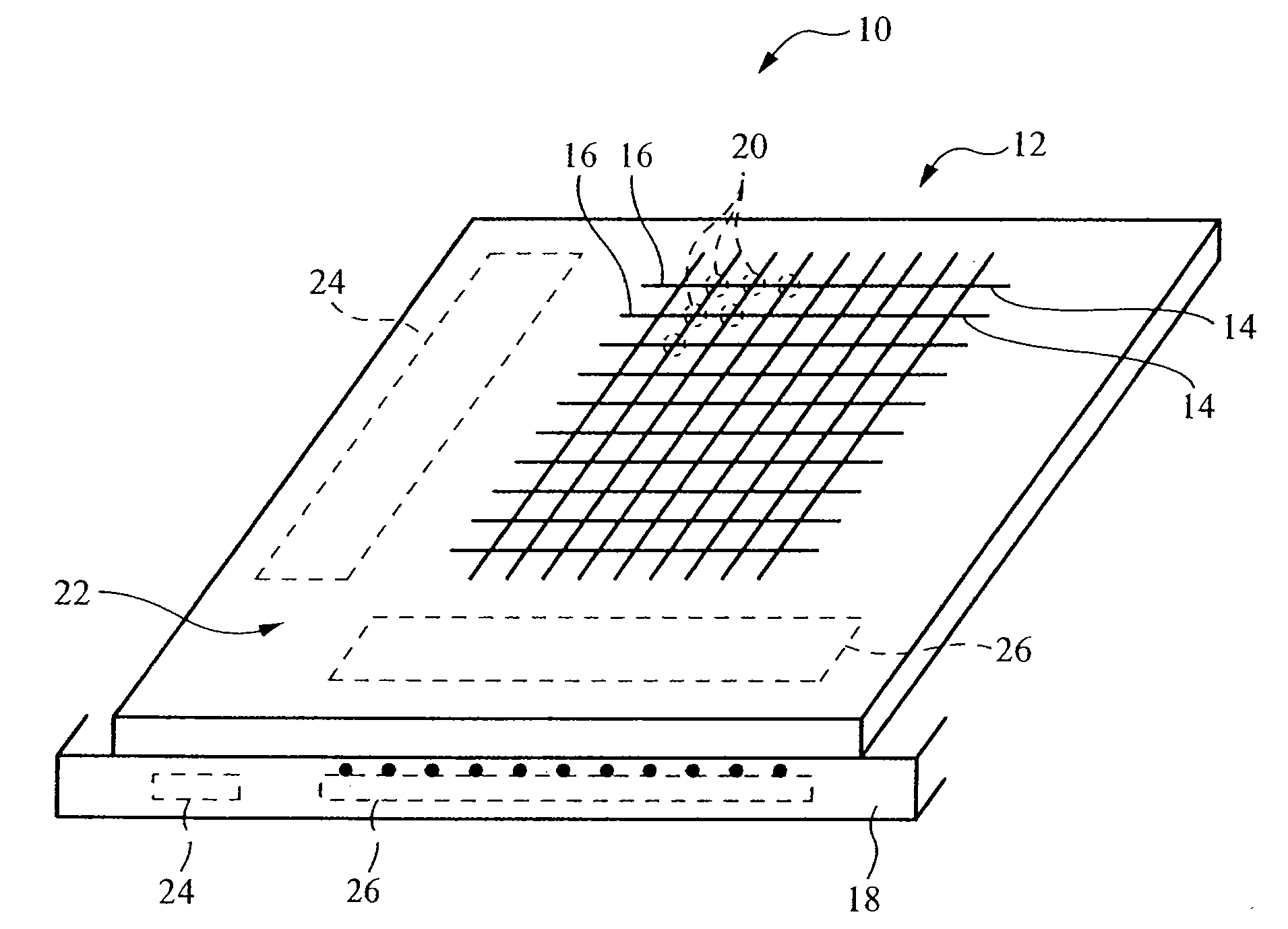 Biometric sensor and sensor panel