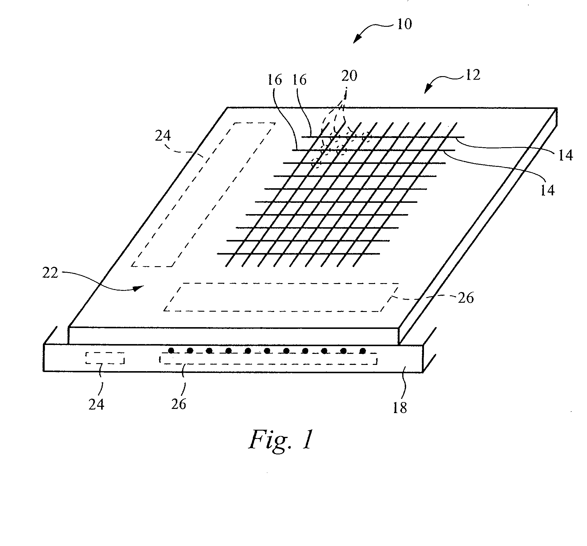 Biometric sensor and sensor panel