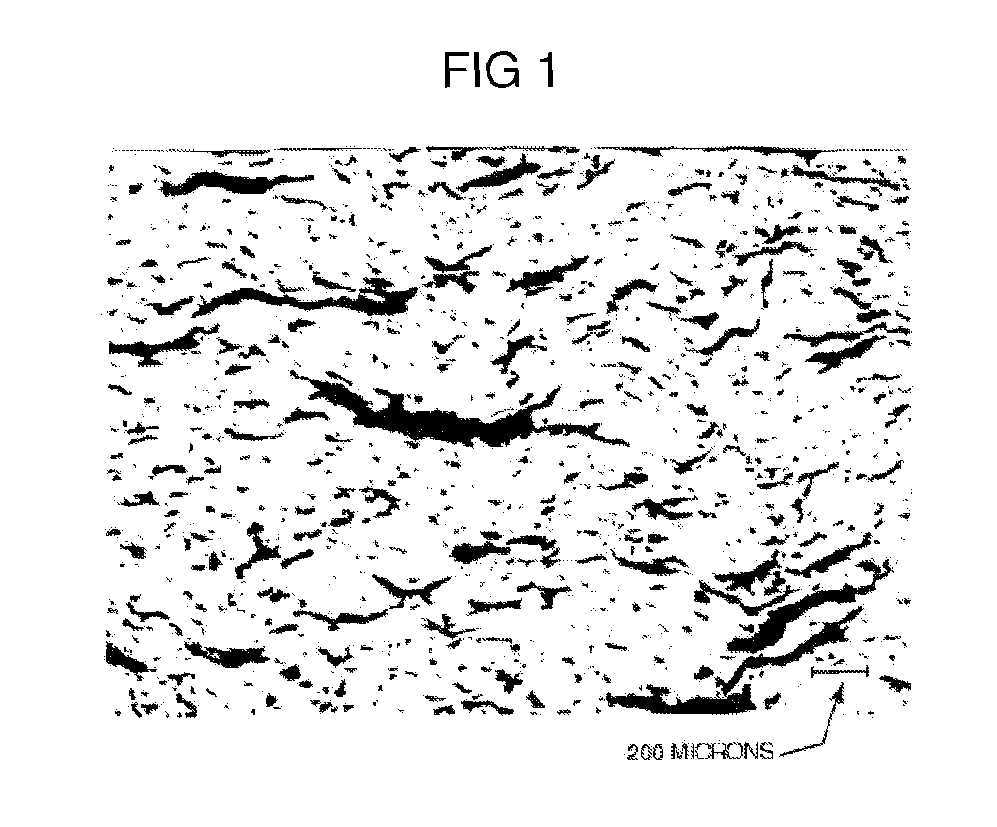 Method of producing uniform blends of nano and micron powders