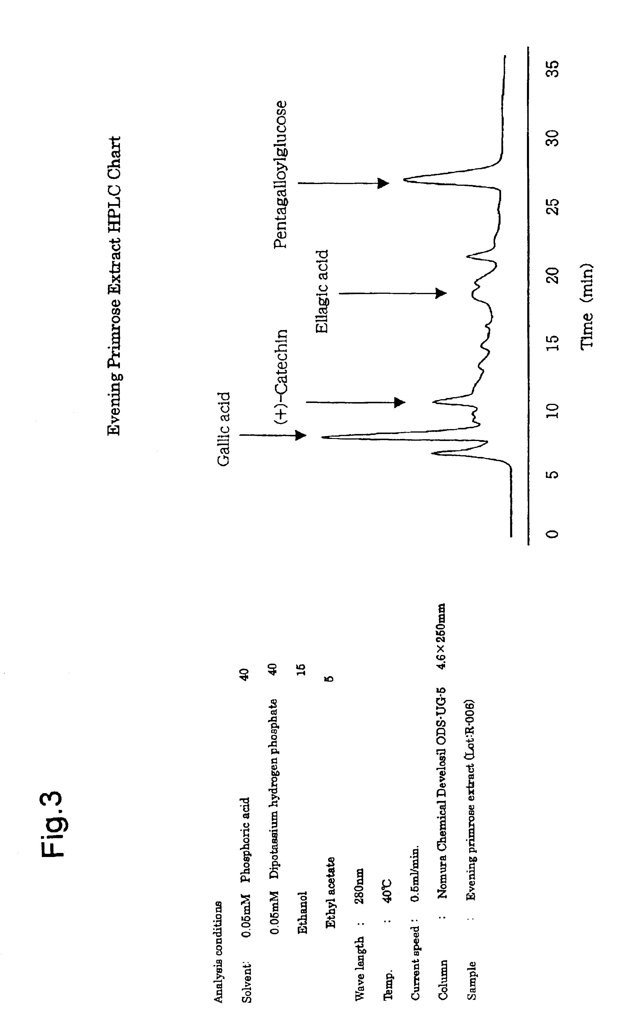 Carbohydrate absorption inhibitor and method for manufacturing the same