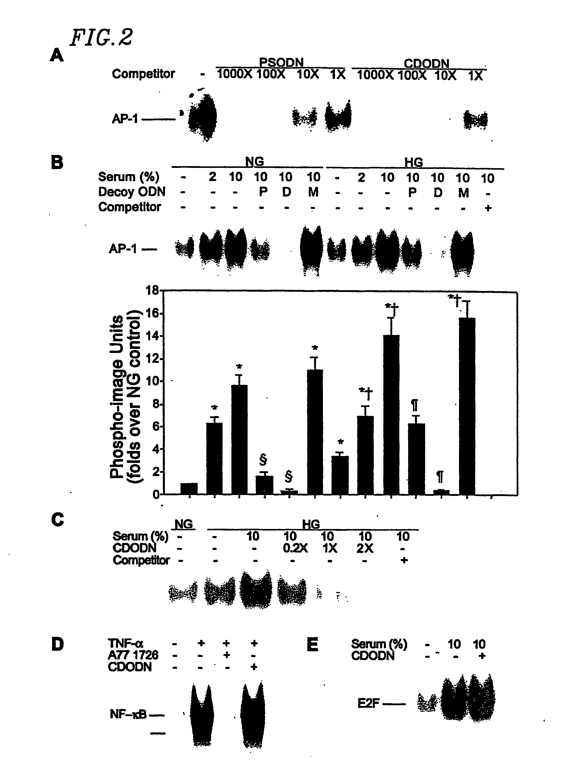 Circular dumbbell decoy oligodeoxynucleotides (cdodn) containing dna bindings sites of transcription