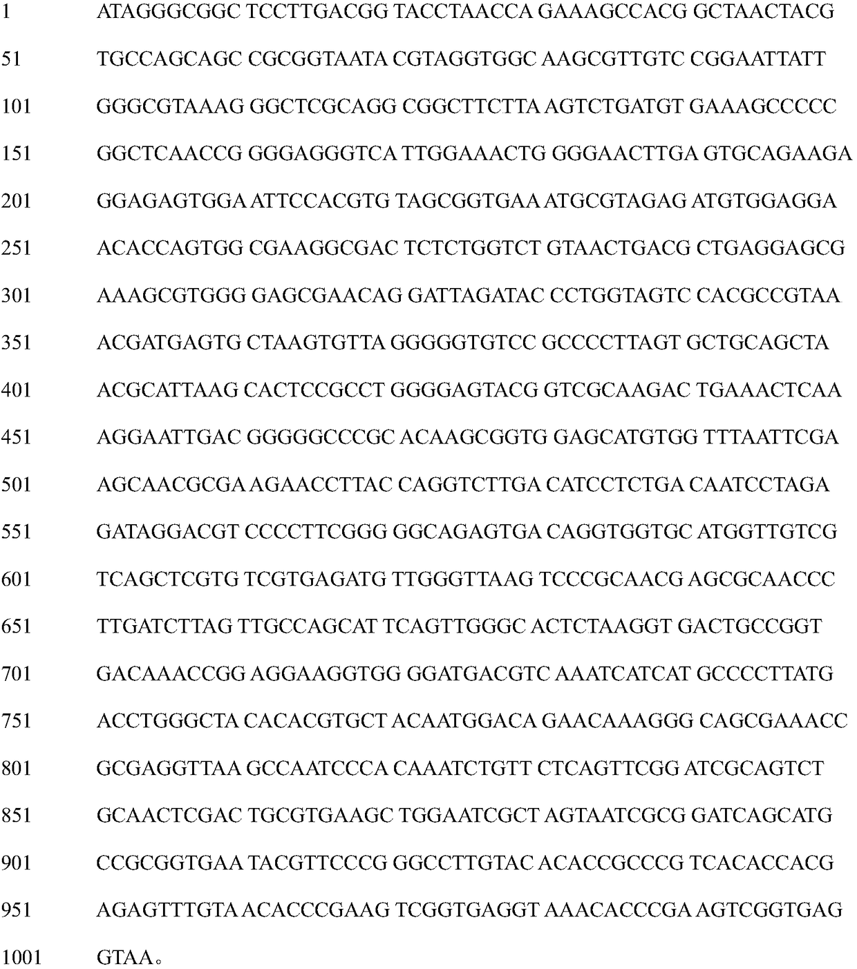 Bacillus dy26-004 and its application in controlling plant pathogenic fungi