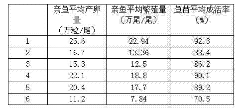 Xenocypris davidi bleeker parent fish feed and preparation method thereof