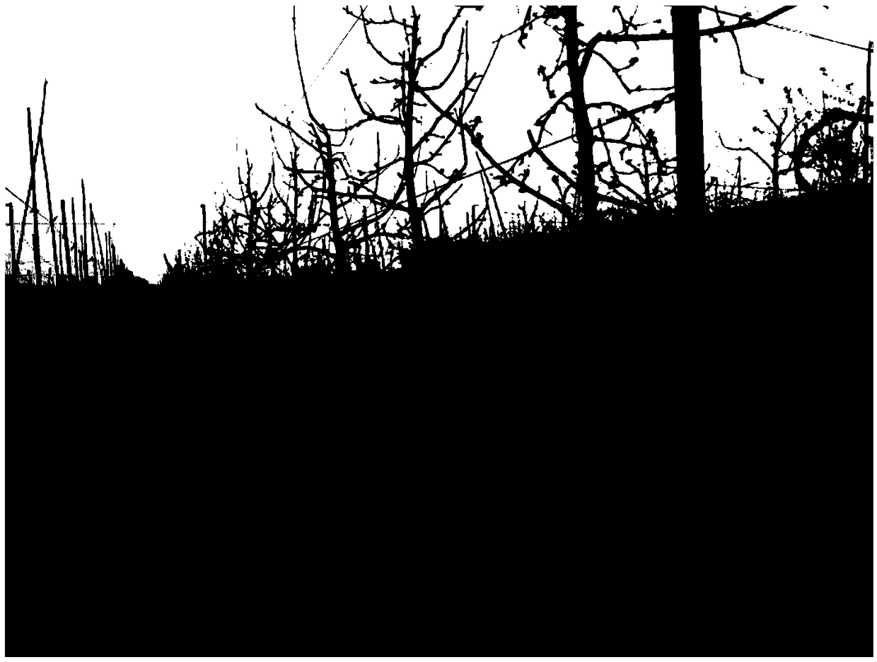 Dwarfed wide-row dense-planting apple cultivation and management method