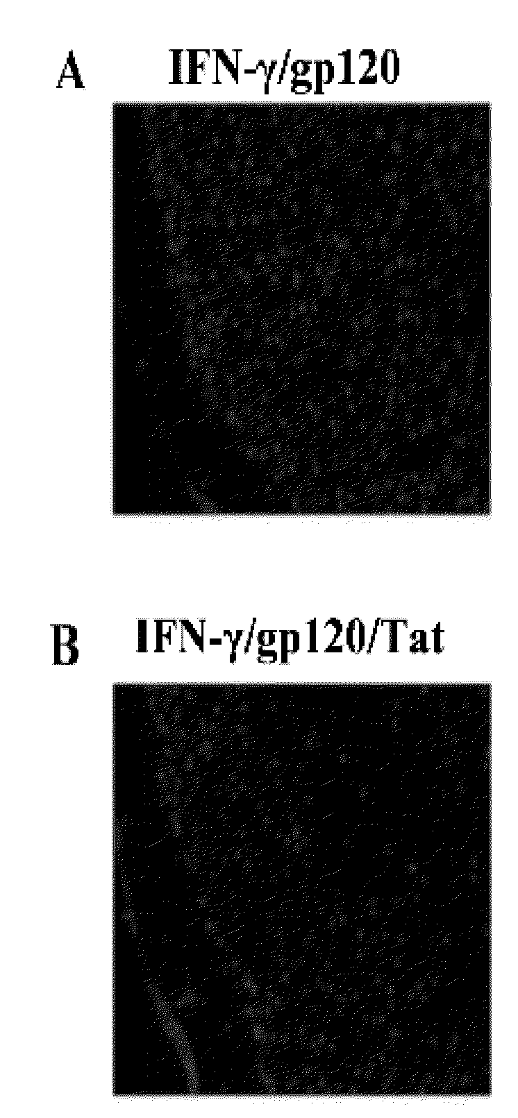 Neurodegenerative disease treatment using jak/stat inhibition