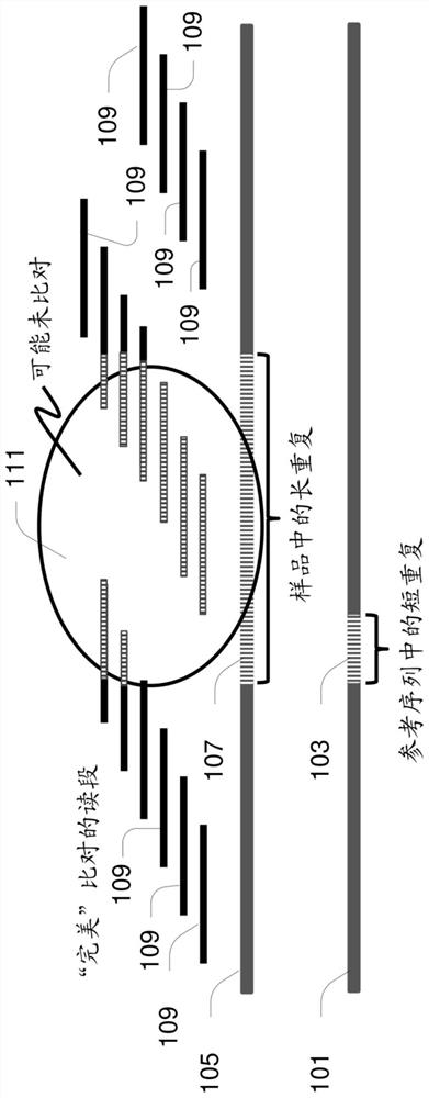 Sequence-graph based tool for determining variation in short tandem repeat regions