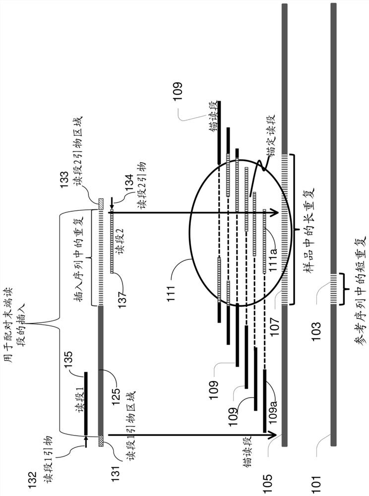 Sequence-graph based tool for determining variation in short tandem repeat regions