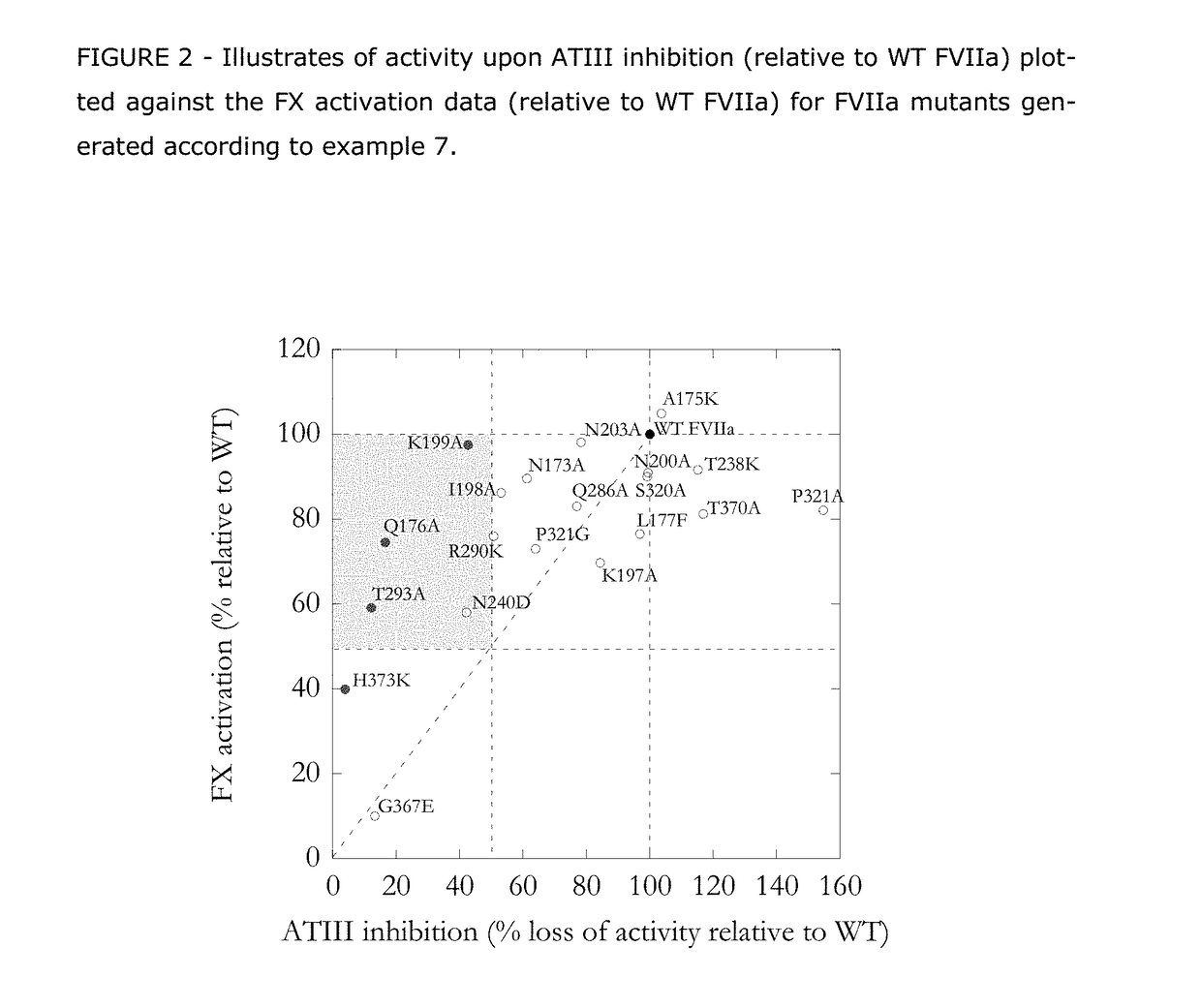 Human Coagulation Factor VII Polypeptides