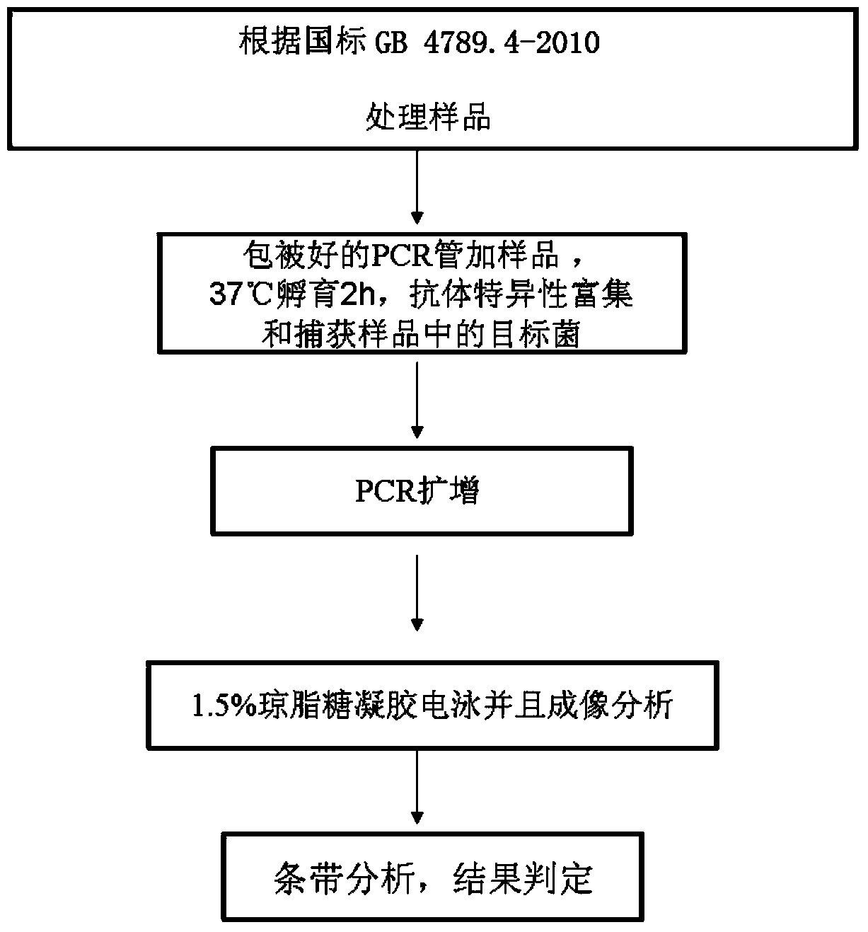 Salmonella choleraesuis immune PCR detection kit