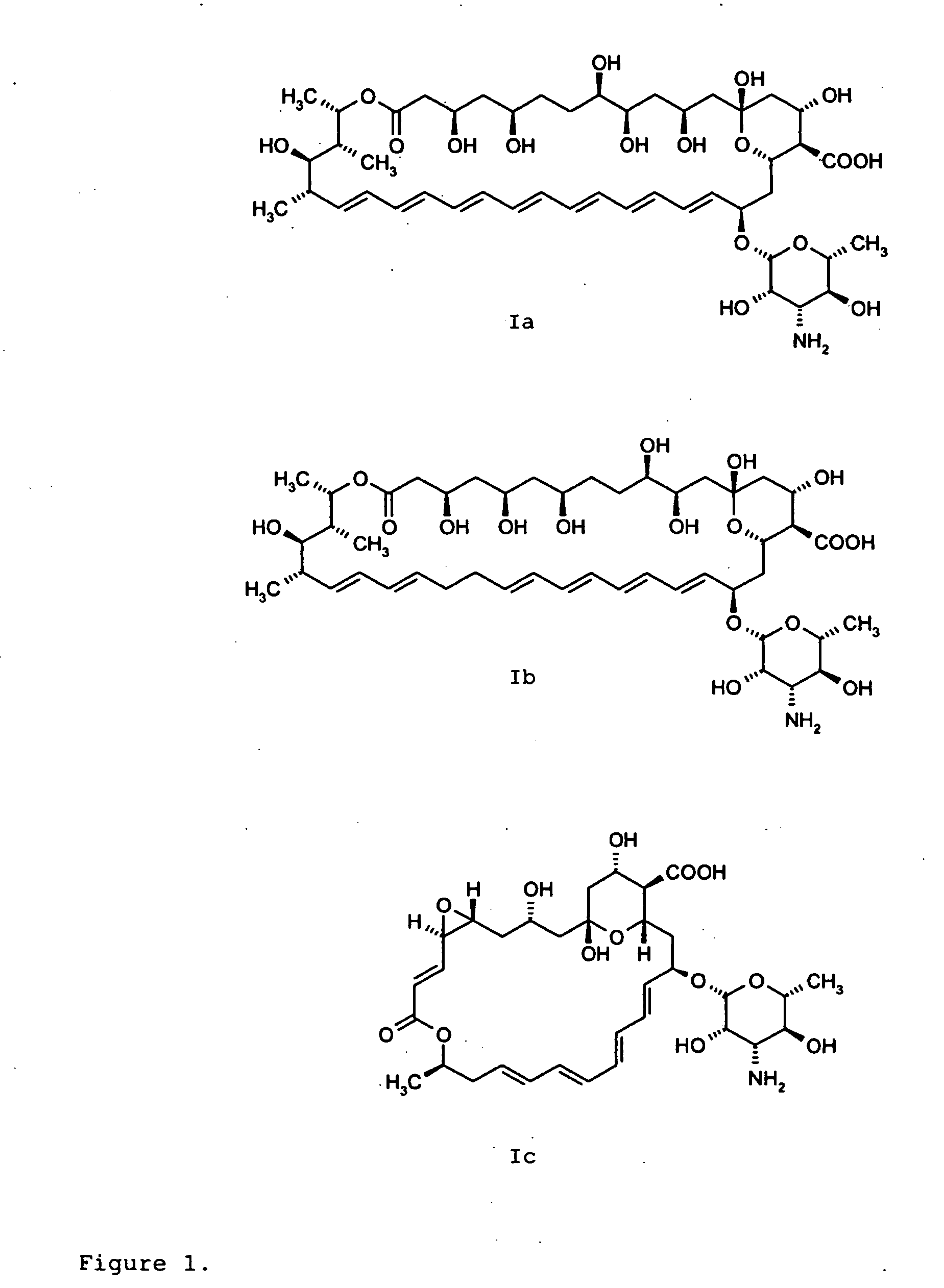 Amphotericin Derivatives