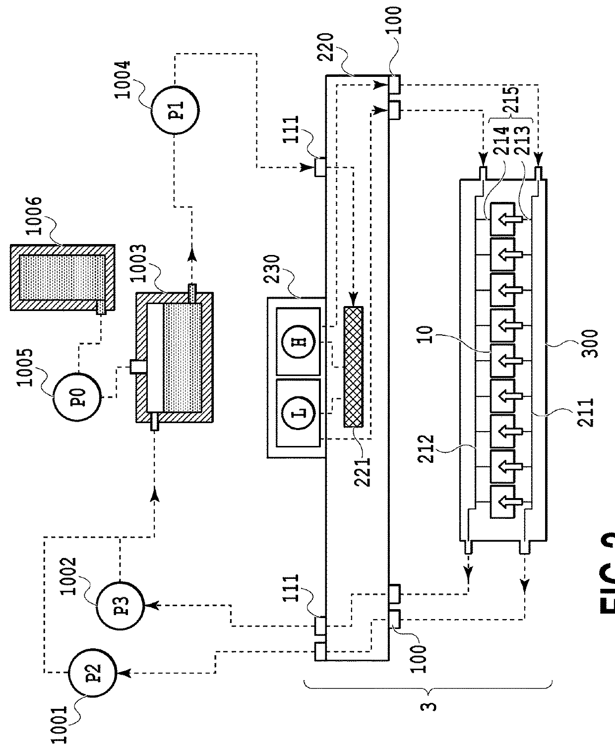 Liquid ejection head, liquid ejection apparatus, and method of supplying liquid