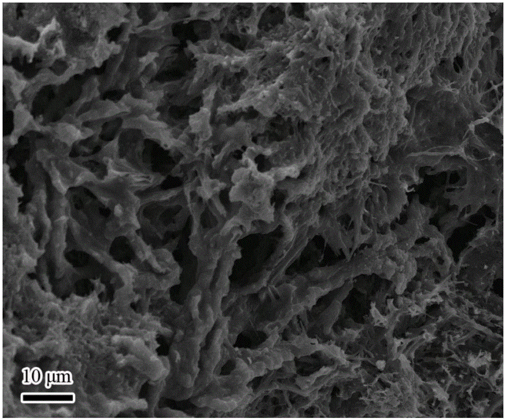 Porous cobalt sulfide and nitrogen-doped carbon composite material and preparation method and application thereof