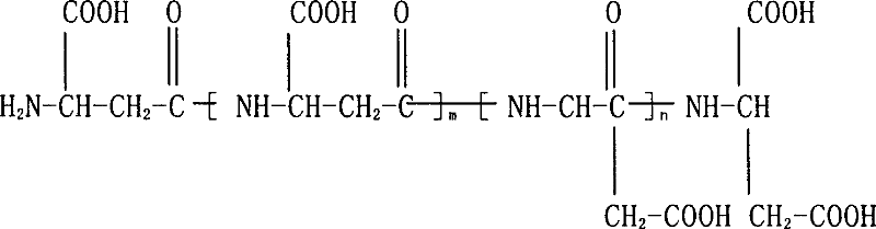 Copolymer and its preparation method and reverse osmosis membrane protective agent comprising the copolymer and its uses