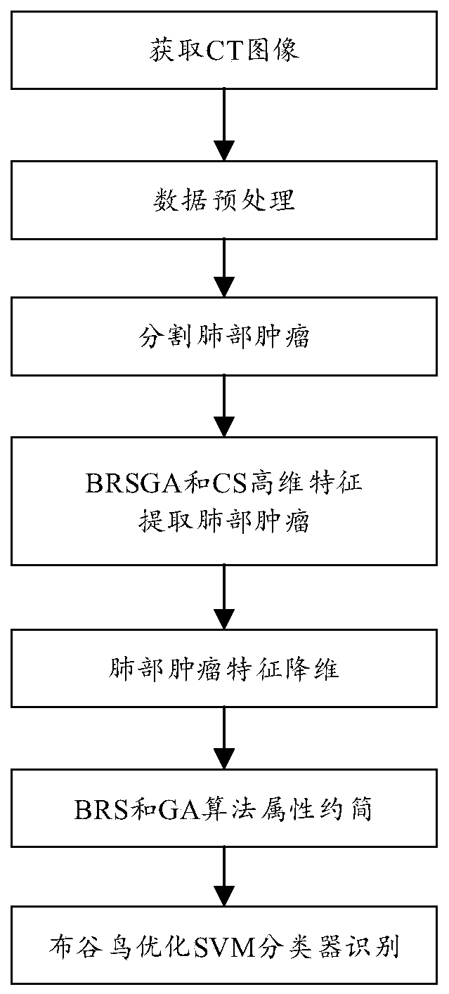 Method for discriminating lung tumor CT image by adopting high-dimensional feature selection