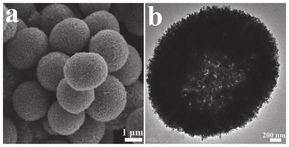 Zinc oxide microsphere, electrode and preparation method thereof