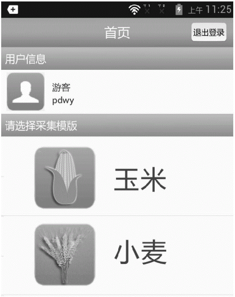 Crop seedling situation monitoring system and method