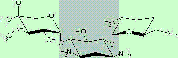 Preparation method of 1-N-ethyl gentamicin C1a sulfate