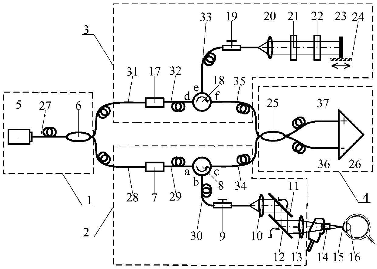 System and method combining corneal elastography with anterior segment structural imaging