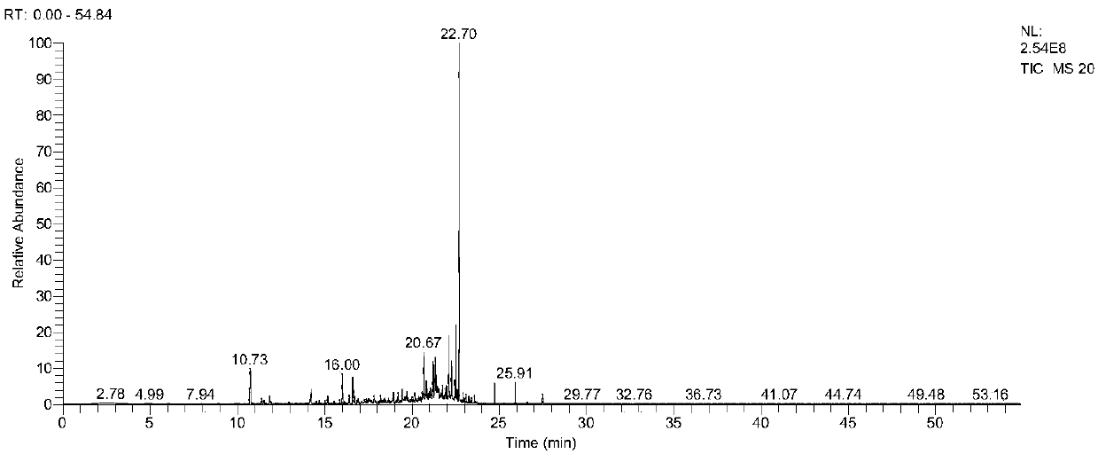 Preparation method and application of Euryops pectinatus fermented essential oil having strong antioxidant activity and high aroma