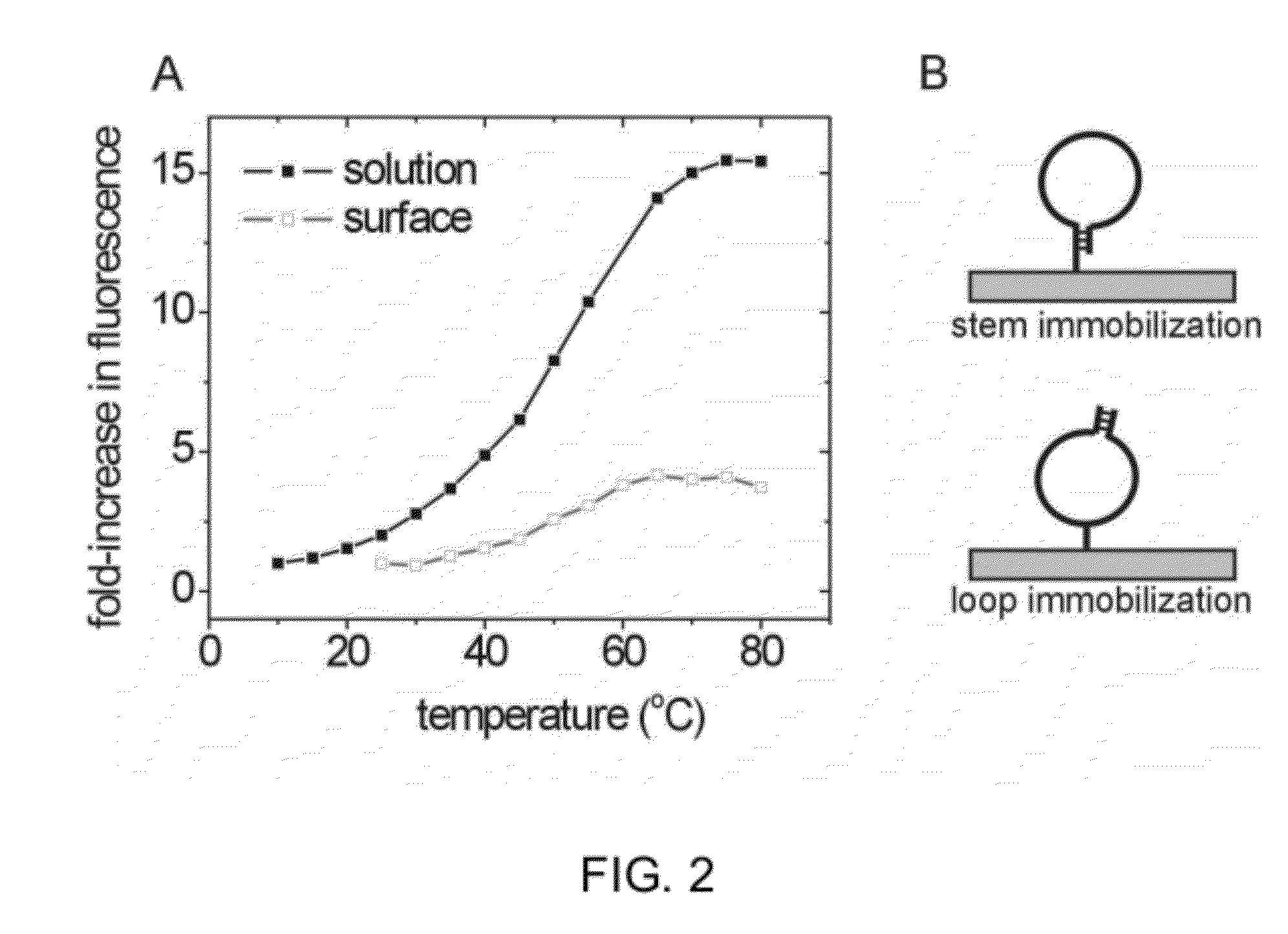 Solid phase methods for thermodynamic and kinetic quantification of interactions between nucleic acids and small molecules