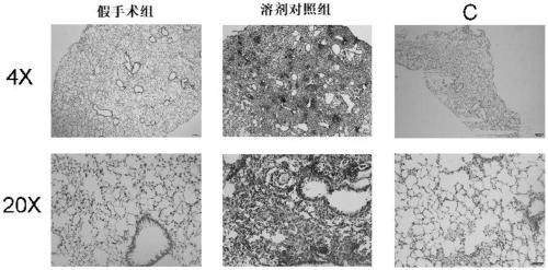 3-vinyl indazole derivative as well as preparation method and application thereof