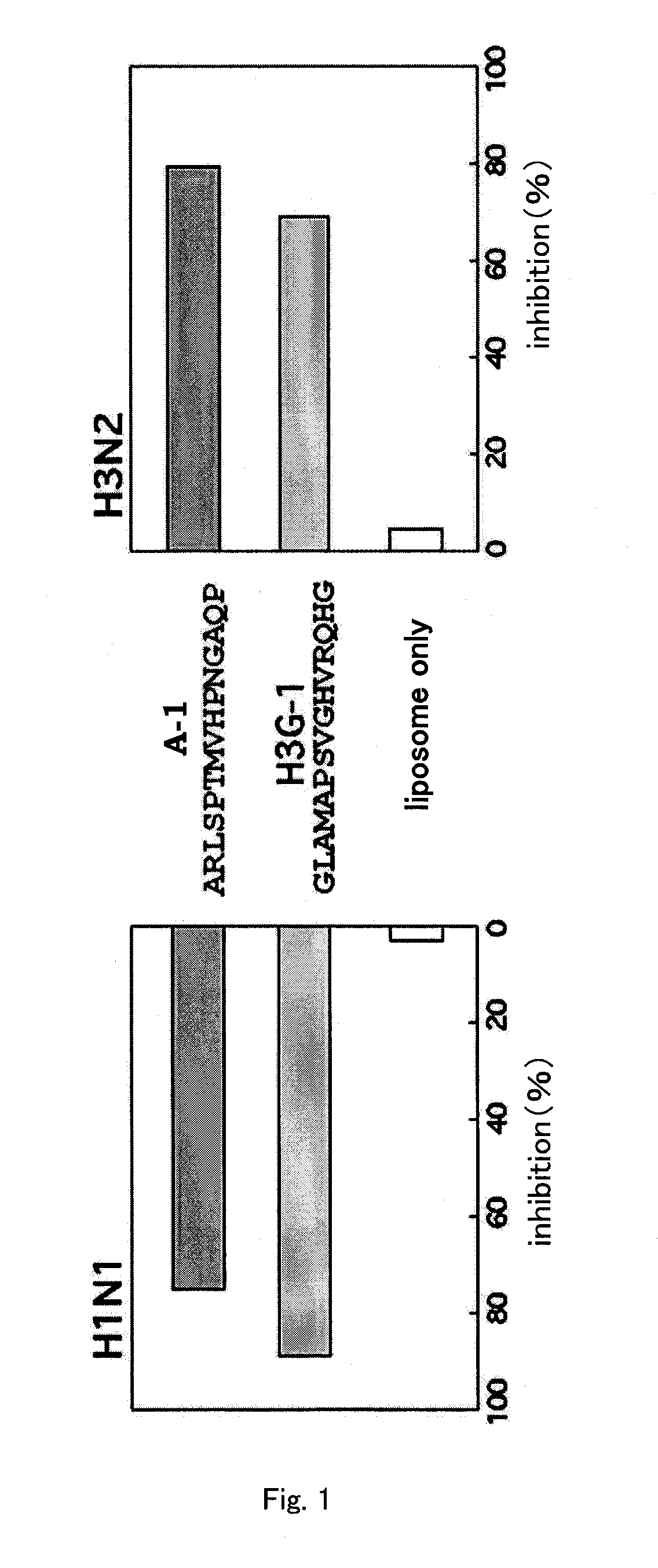 Peptide for inhibition of influenza infection, inhibitor of influenza infection, liposome, and prophylactic/therapeutic agent for influenza