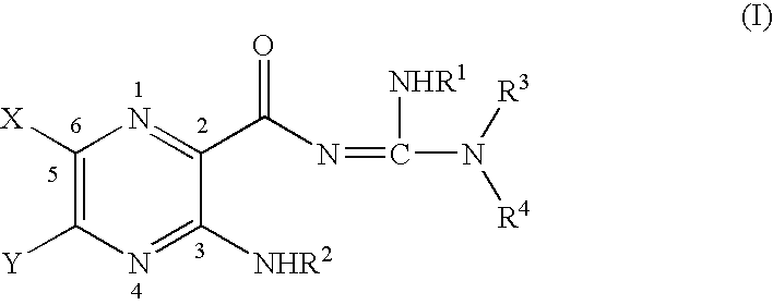 Capped pyrazinoylguanidine sodium channel blockers