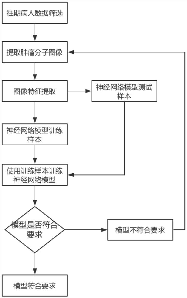 Method for determining radiotherapy dose according to characteristic parameters of tumor molecular images