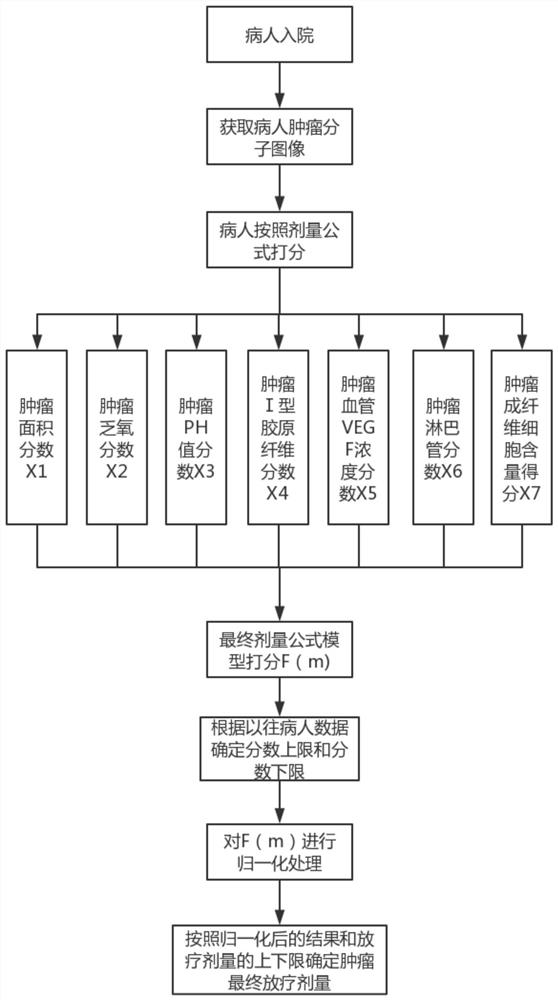 Method for determining radiotherapy dose according to characteristic parameters of tumor molecular images