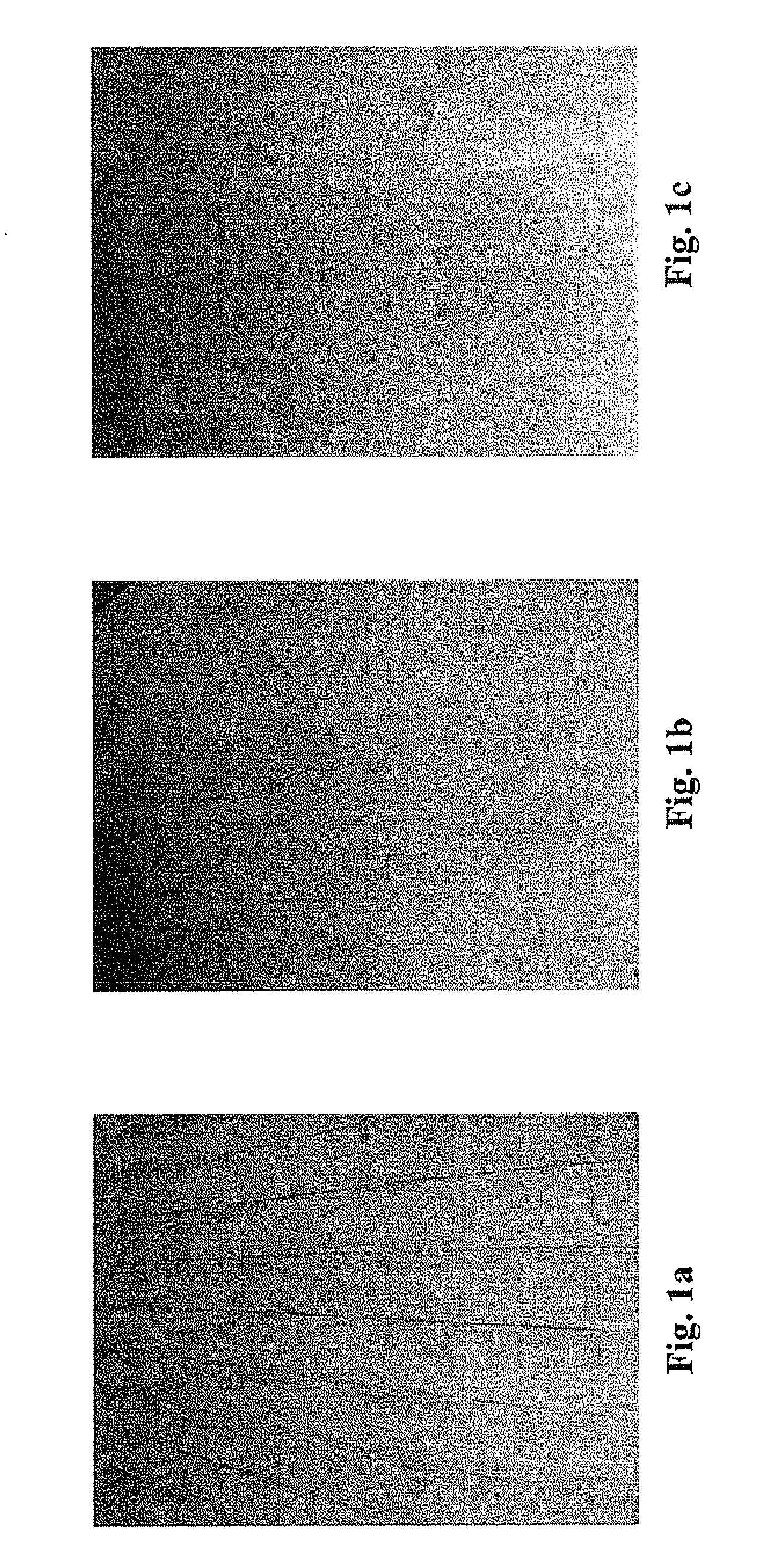 Adhesive formulations containing urea additives, methods of forming plywood therewith, and plywood products made thereby