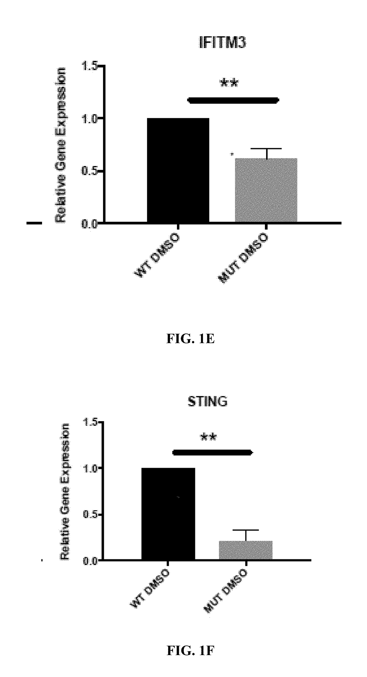 Retinoid compositions and methods of increasing immune cell-mediated killing of idh mutant cancer cells