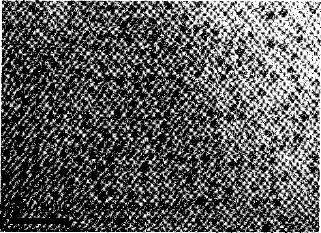 Doping semi-conductor nanocrystalline and preparation thereof