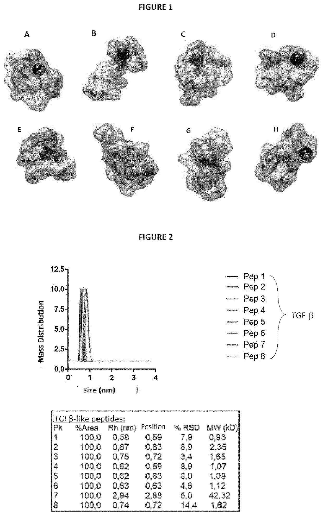 Combination of synthetic peptides with affinity to the tgf-ß receptor and with affinity to the il-10 receptor, pharmaceutical composition and their use as immunomodulators in the treatment of autoimmune, inflammatory or allergic diseases