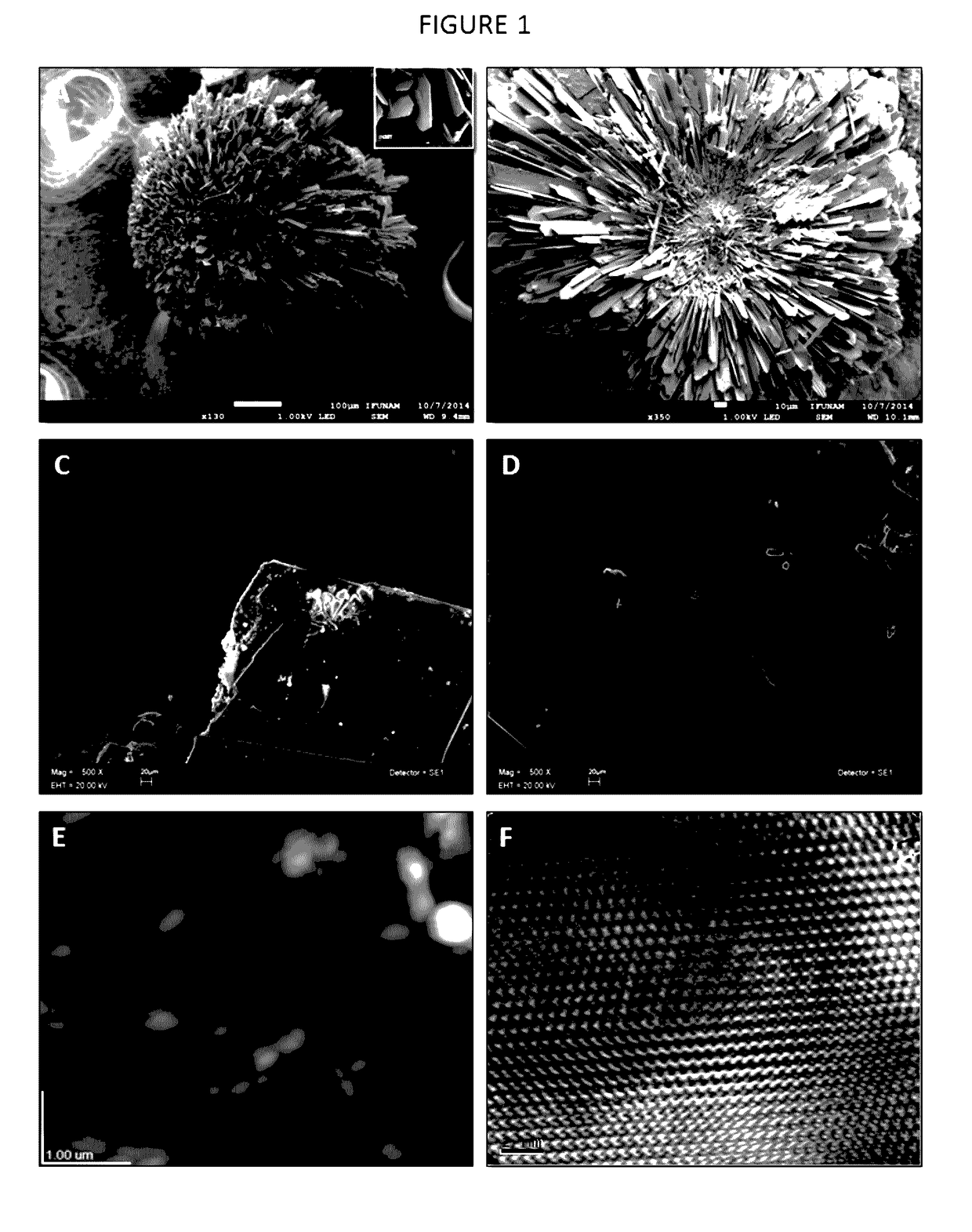 Use of peptidic drugs for osteoporosis treatment and bone regeneration