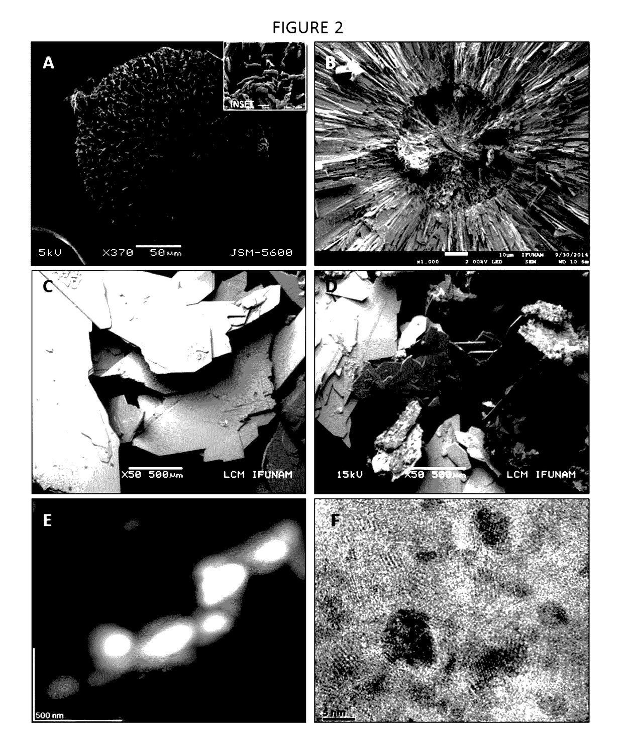 Use of peptidic drugs for osteoporosis treatment and bone regeneration