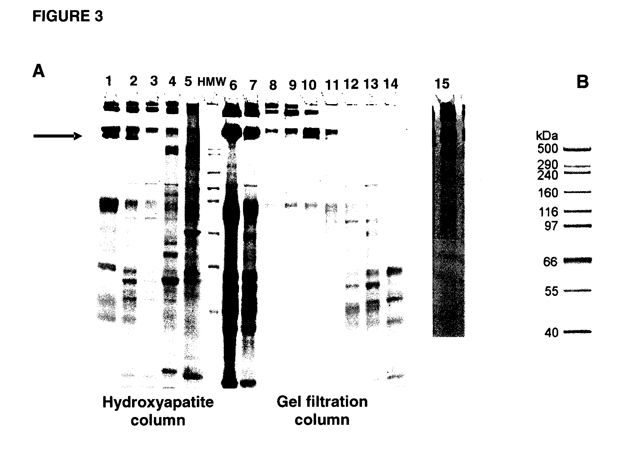 SOLUBLE IGF RECEPTOR Fc FUSION PROTEINS AND USES THEREOF