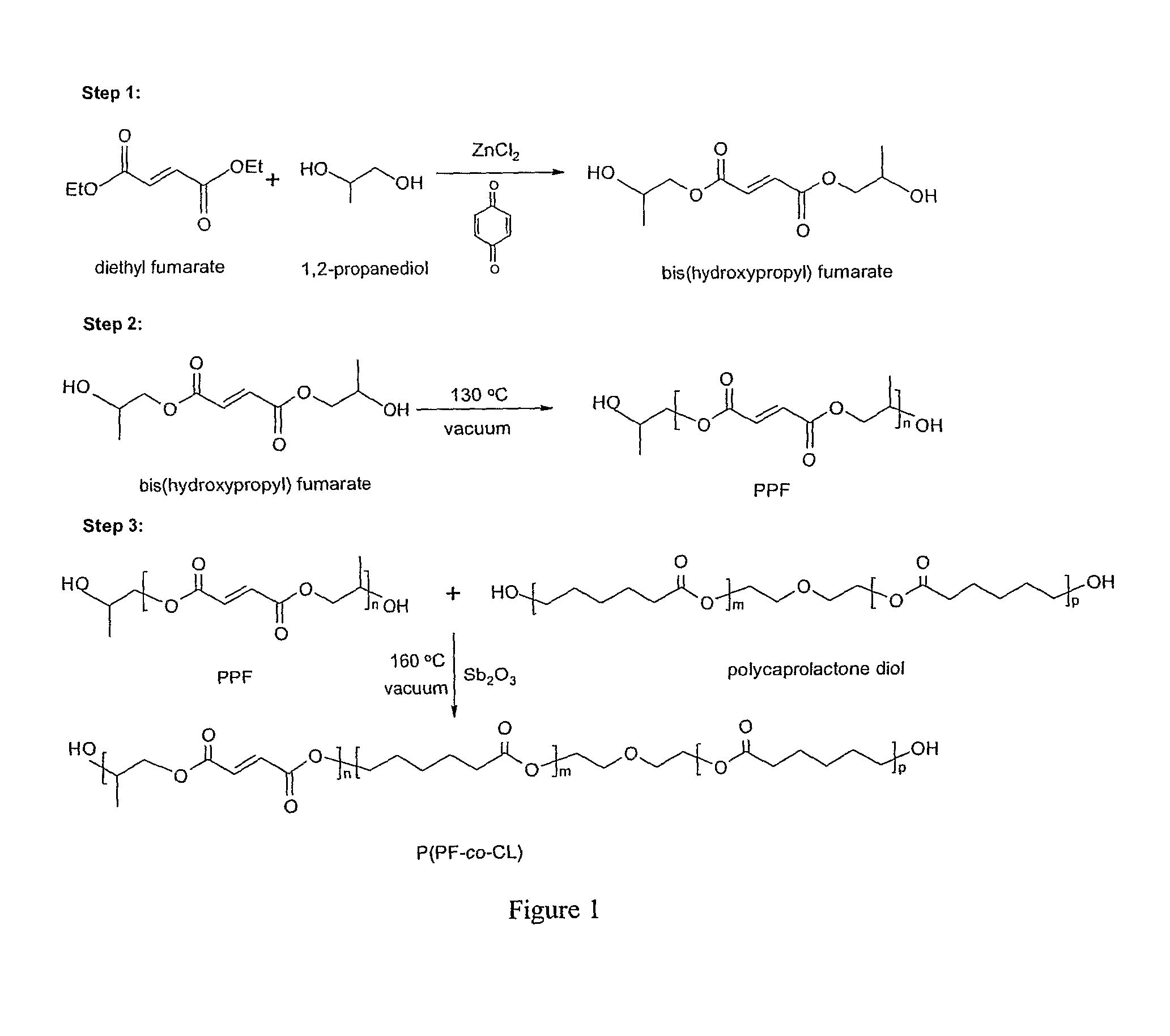 Block copolymers of polycarpolactone and poly (propylene funarate)