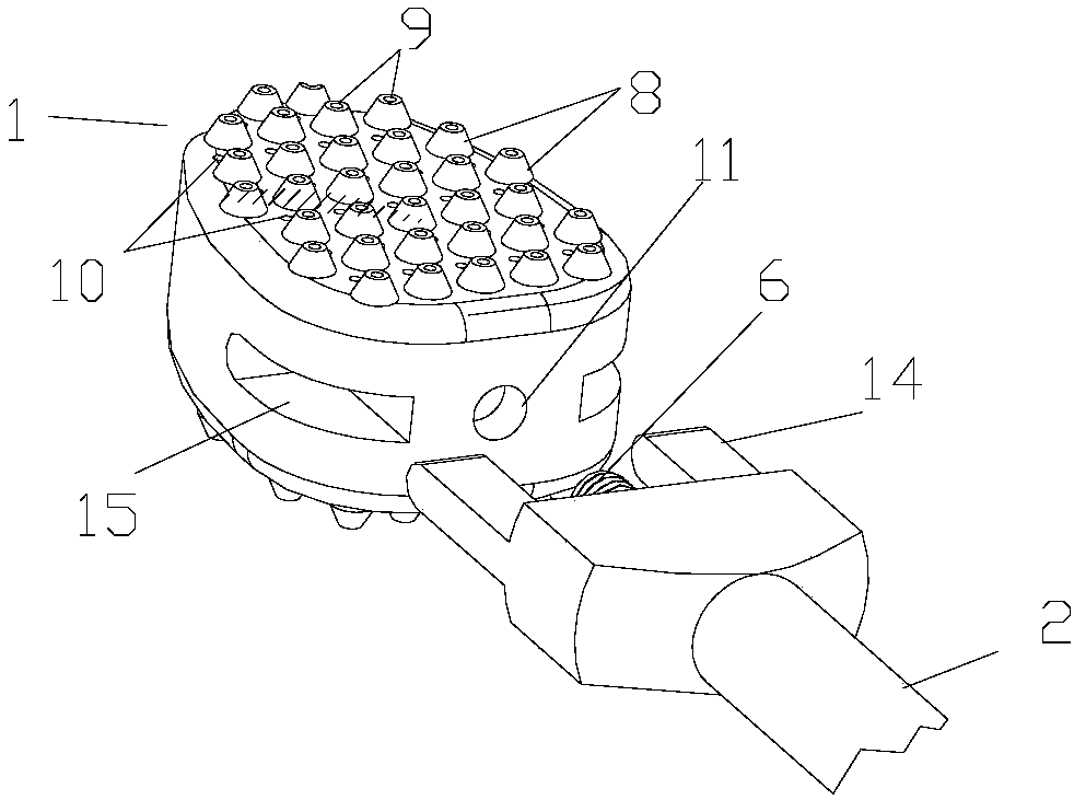 Bone cement type interbody fusion cage and operation method thereof