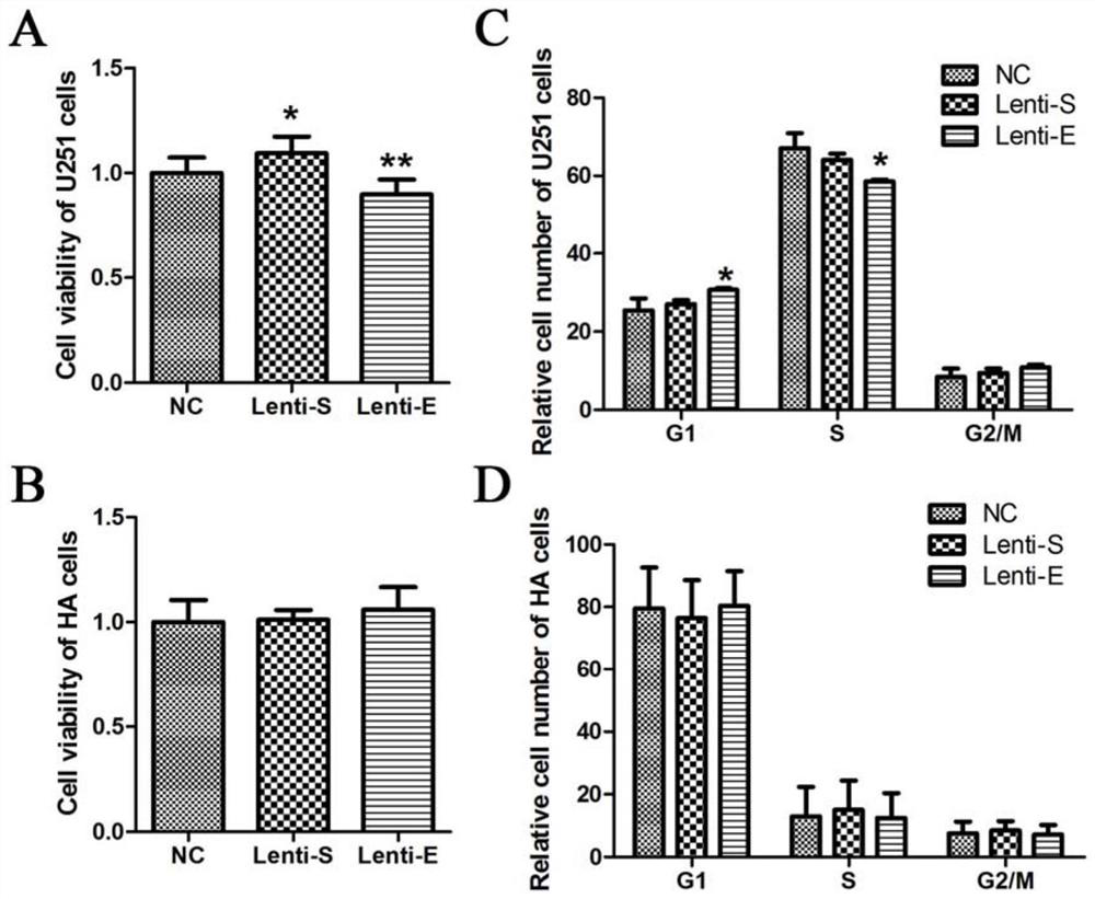 A dsRNA targeting enhancer II in the promoter II region of gdnf gene and its application