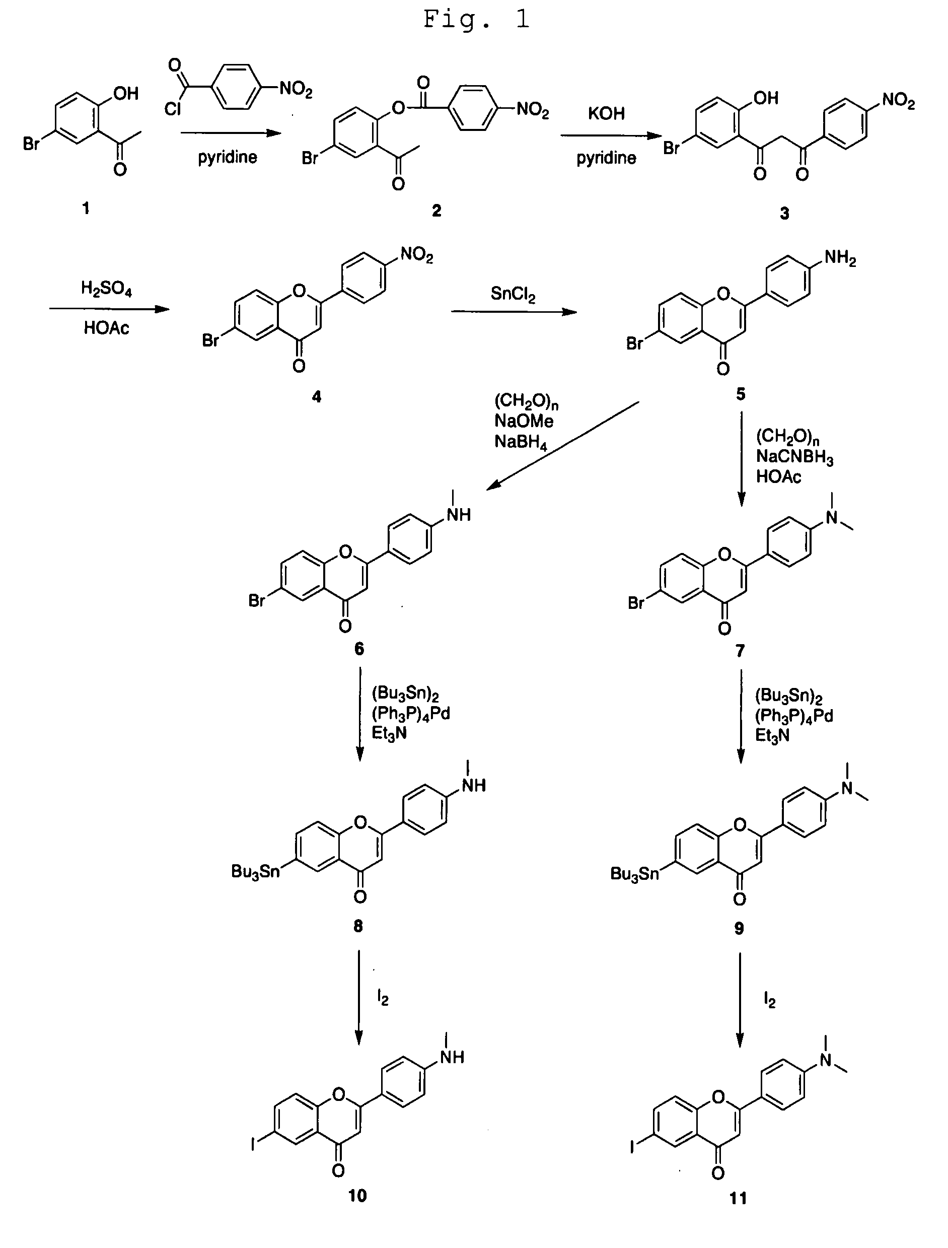 Composition For Diagnosing Amyloid-Related Diseases