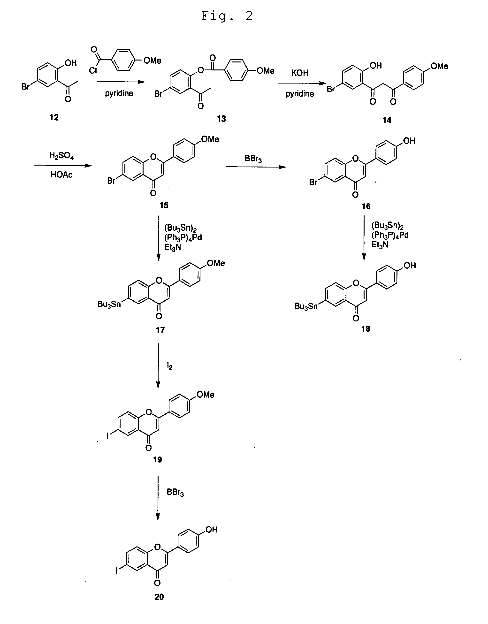 Composition For Diagnosing Amyloid-Related Diseases